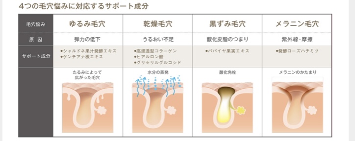 毛穴悩みの原因は「炎症」から始まっている！|愛知県半田市のトータルエステ 美肌フェイシャルと癒しのアロマトリートメントサロン